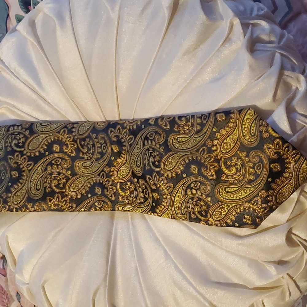 ZIANETTI TIE NWT